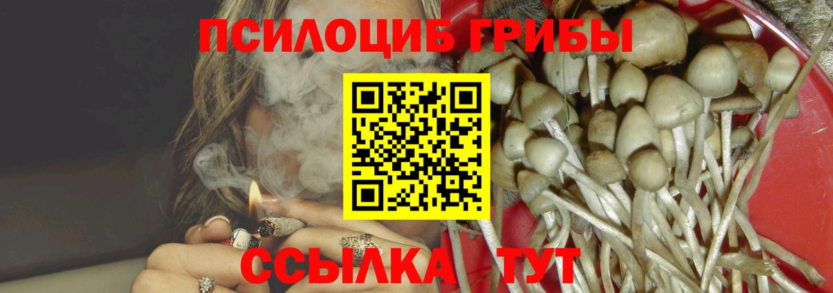 закладки  Псилоцибиновые грибы мухоморы  Вход с VPN  Изобильный 