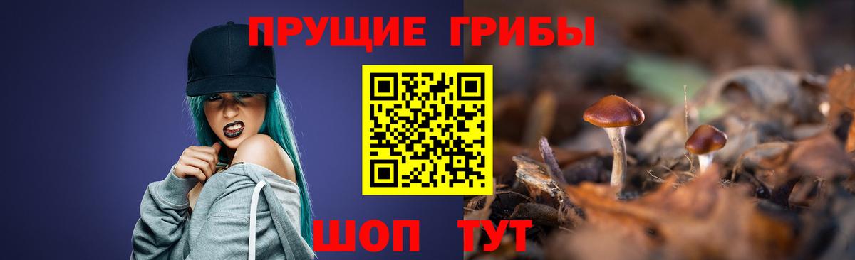 Псилоцибиновые грибы Psilocybe Изобильный