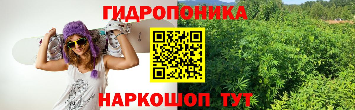Бошки марихуана ГИДРОПОН  Каннабис THC 21%  Изобильный  Вход с VPN  Конопля планчик  Бошки марихуана индика 